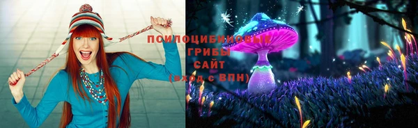 гидра Кукмор