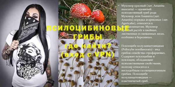 прущая мука Куйбышев