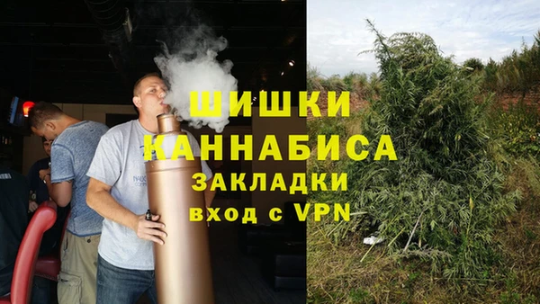 сатива Кулебаки