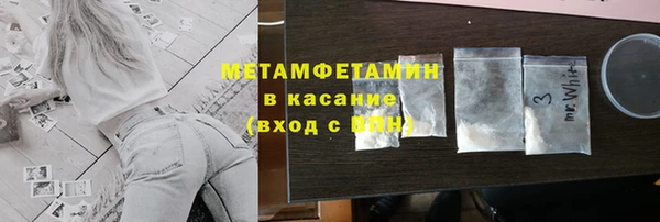 сатива Кулебаки