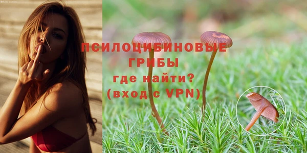 сатива Кулебаки