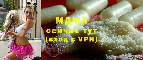 сатива Кулебаки