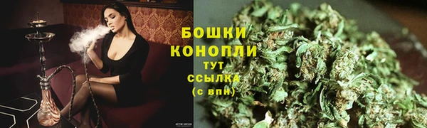 сатива Кулебаки