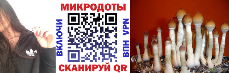 Псилоцибиновые грибы мицелий  Купить закладки  Павловск 