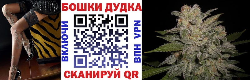 Канабис план  Купить  Павловск 